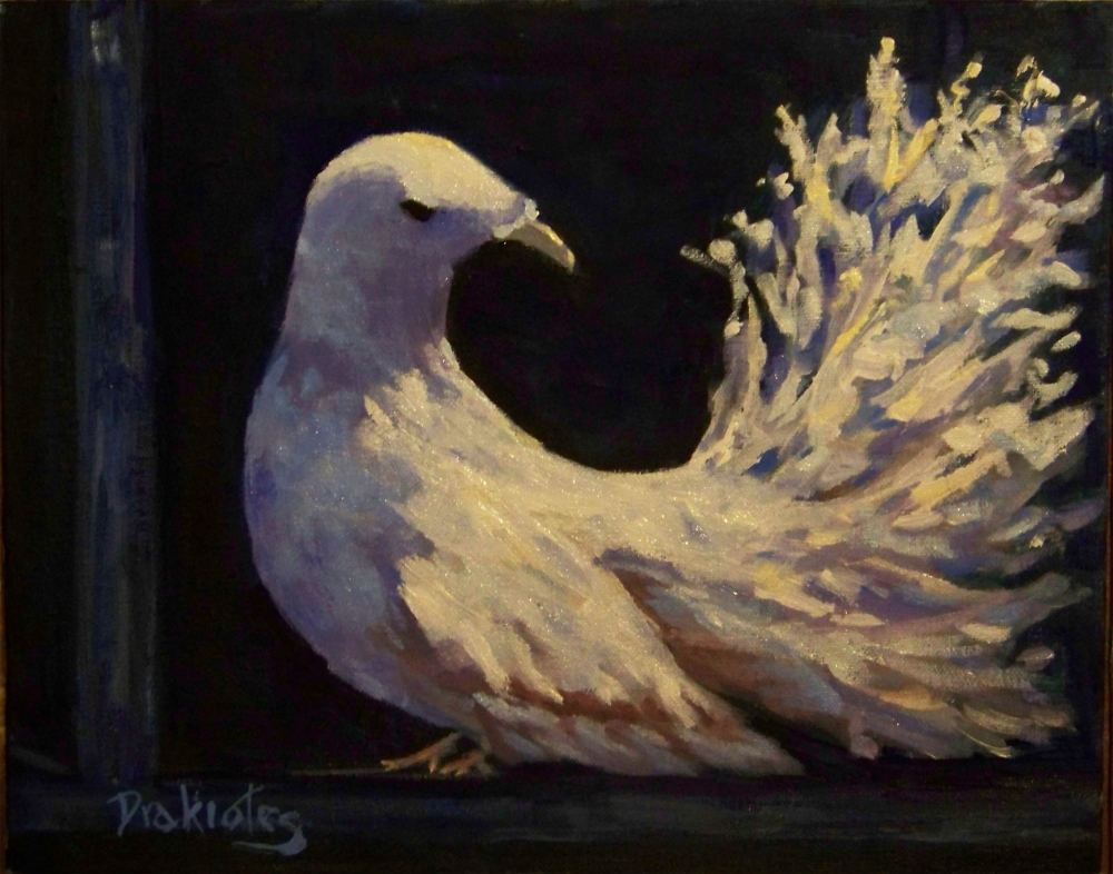 Messenger-of-Peace   - SOLD