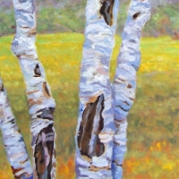Beyond the Birches - Available