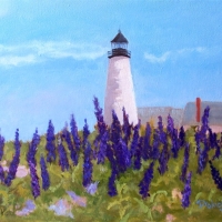 Lupins at the Light house -