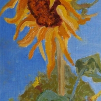 Sunflower  SOLD