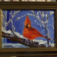 Winter-Cardinal- Available