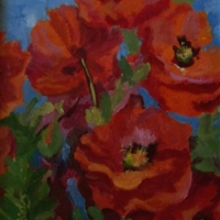 Poppies - Available