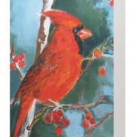 Solitary Cardinal