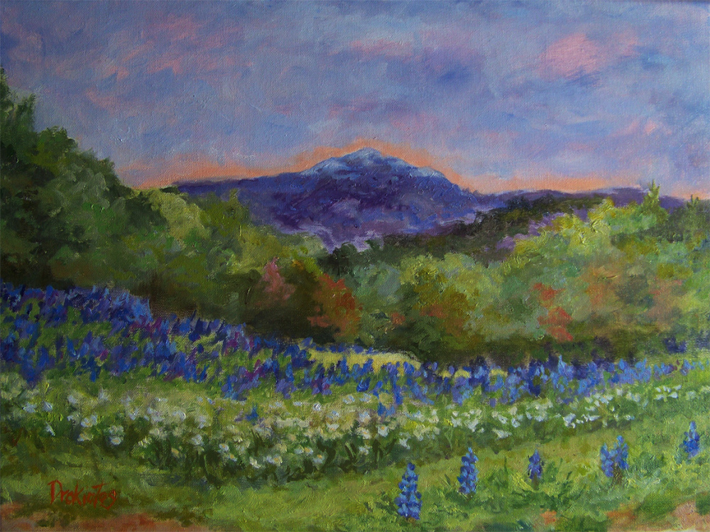 Lupine-Field-Available