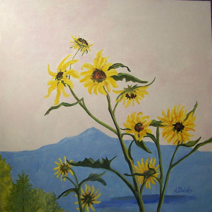 Monadnock-Sunflowers- Available