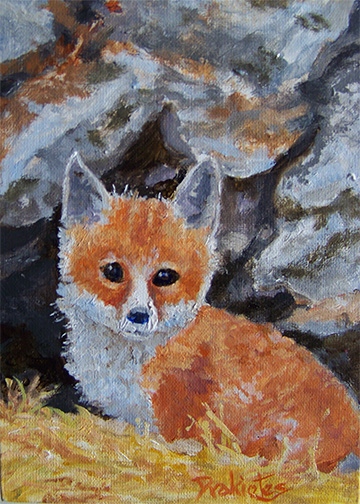 Red-Fox- Available