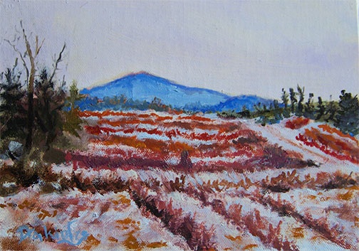 Winter-Berry-Fields-   Available