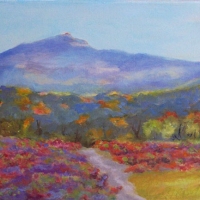Autumn-Berry-Fields - Available