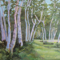 Birch-Grove- Available