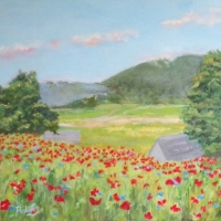 Field of Poppies - AVAILABLE