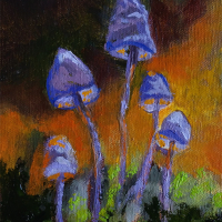 Forest-Floor-Available