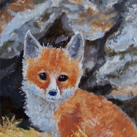 Red-Fox- Available