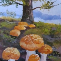 Yellow-Orange-Fly-Agaric