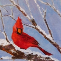 Cardinal In Afternoon Light - SOLD