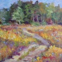 field-of-color