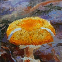 Forest Floor  - Available