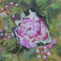Garden Rose - SOLD