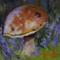 Meadow Mishroom - Available